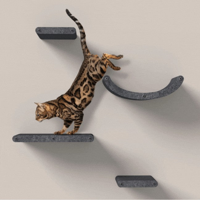 Set of 4 Cat Climbers, Charcoal, Pryde Pets