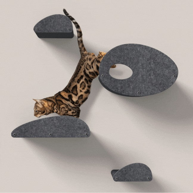 Set of 4 Cat Climbers with Facades, Charcoal, Pryde Pets