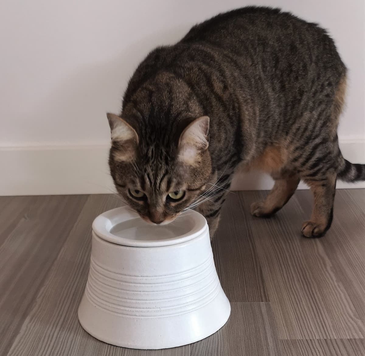 Kilimanjaro Elevated Ceramic Cat Feeder, view 2