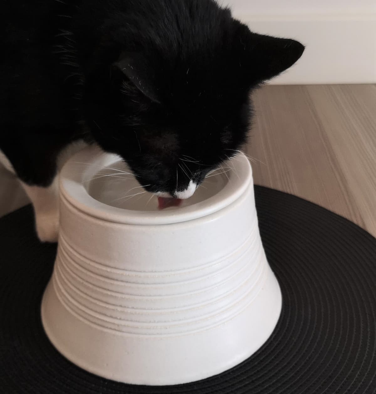 Kilimanjaro Elevated Ceramic Cat Feeder, view 3