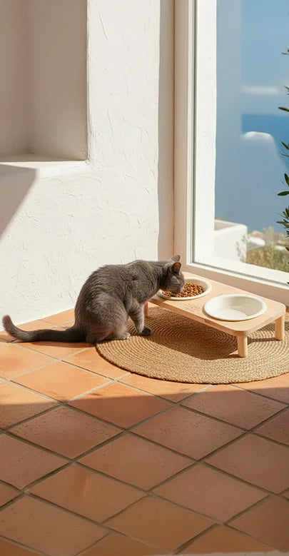 Cala Blanca Ceramic Cat Feeder by Althea Living