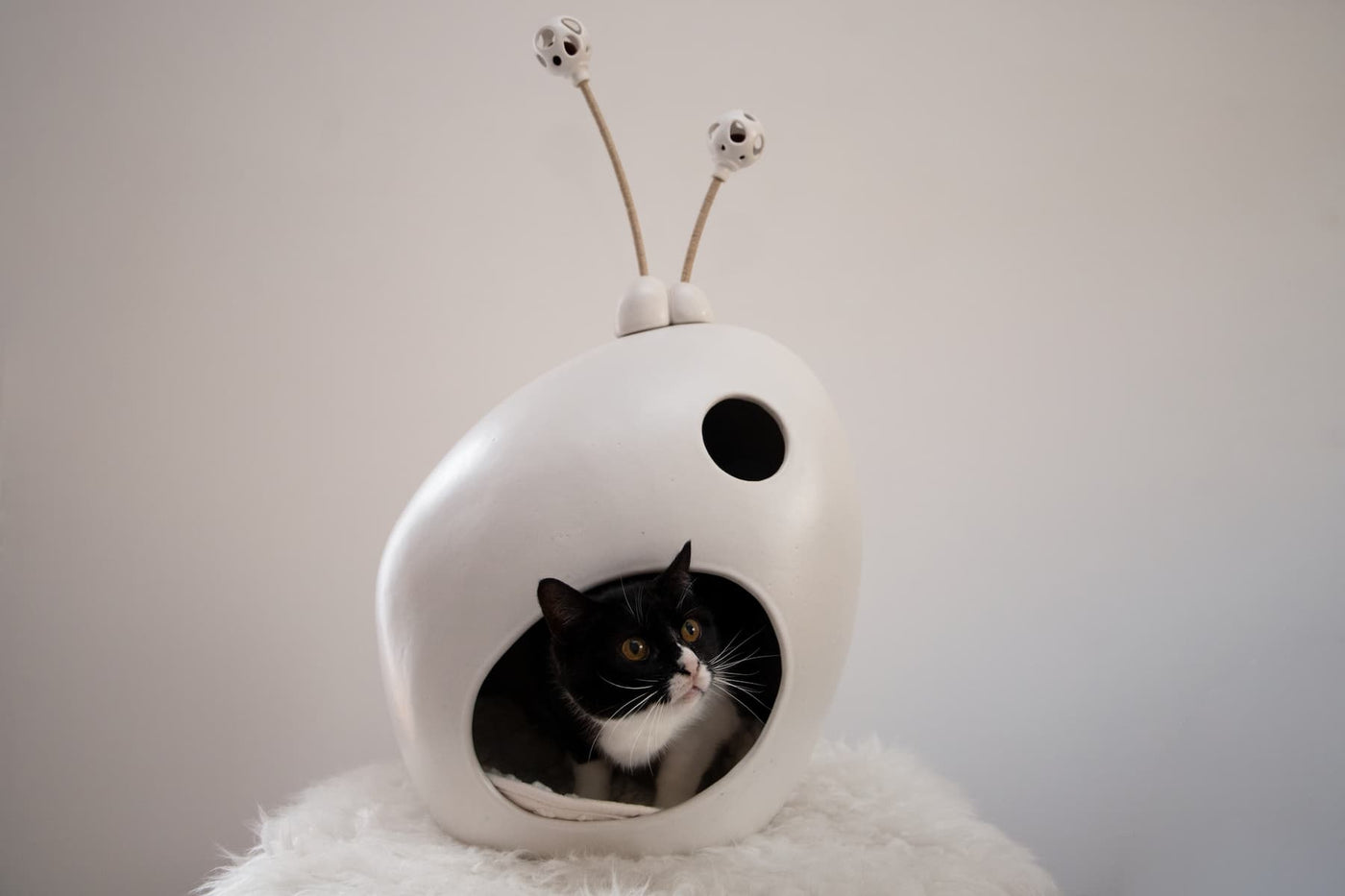 Frodo Ceramic Cat Cave by Sara Monge