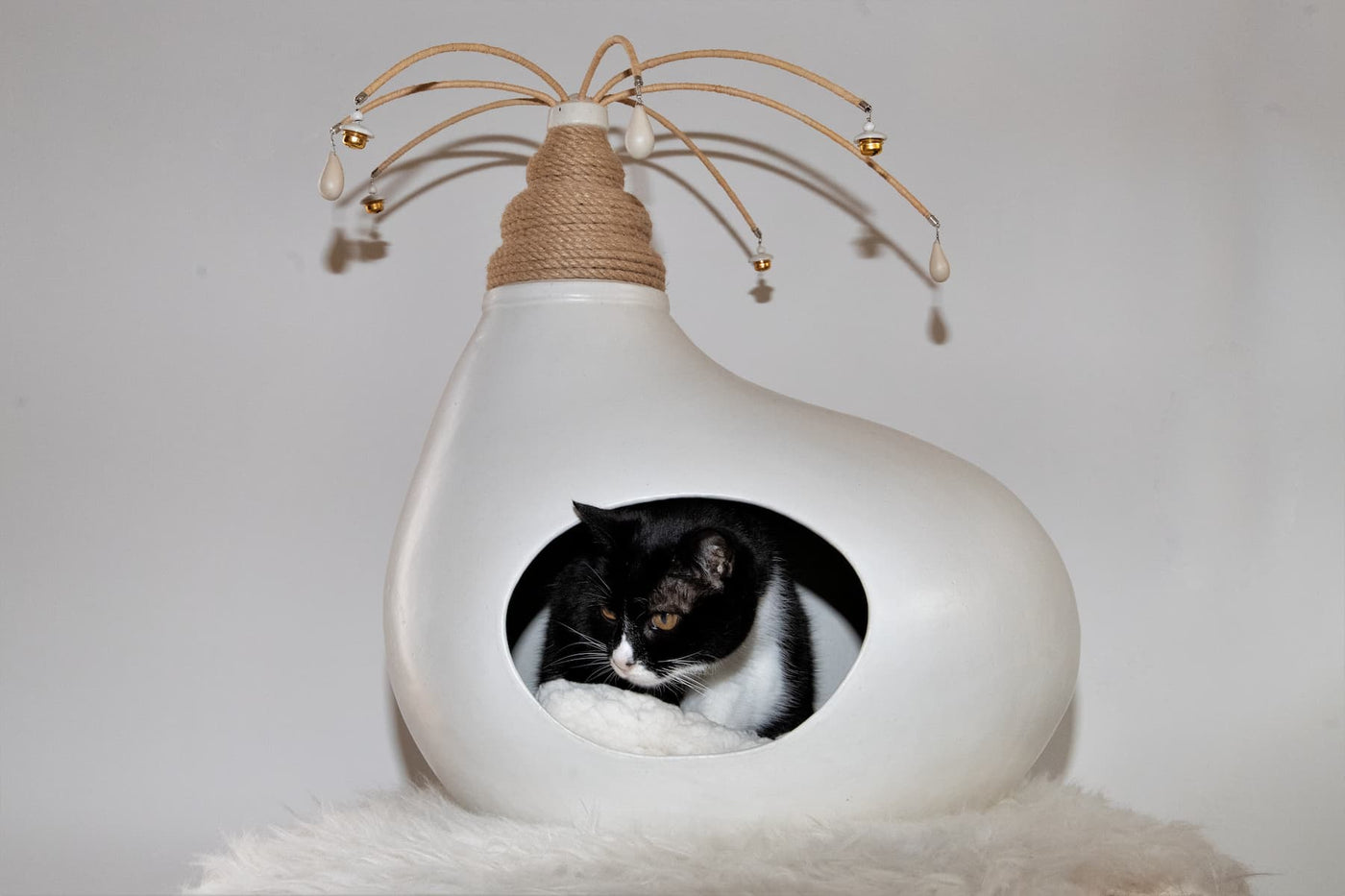 Cascabel Ceramic Cat Cave by Sara Monge