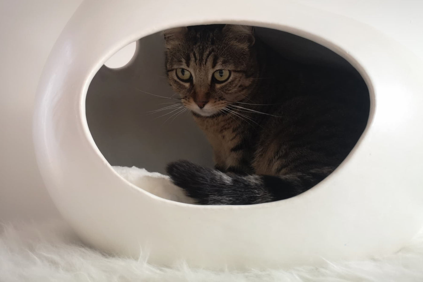Cascabel Ceramic Cat Cave, view 4