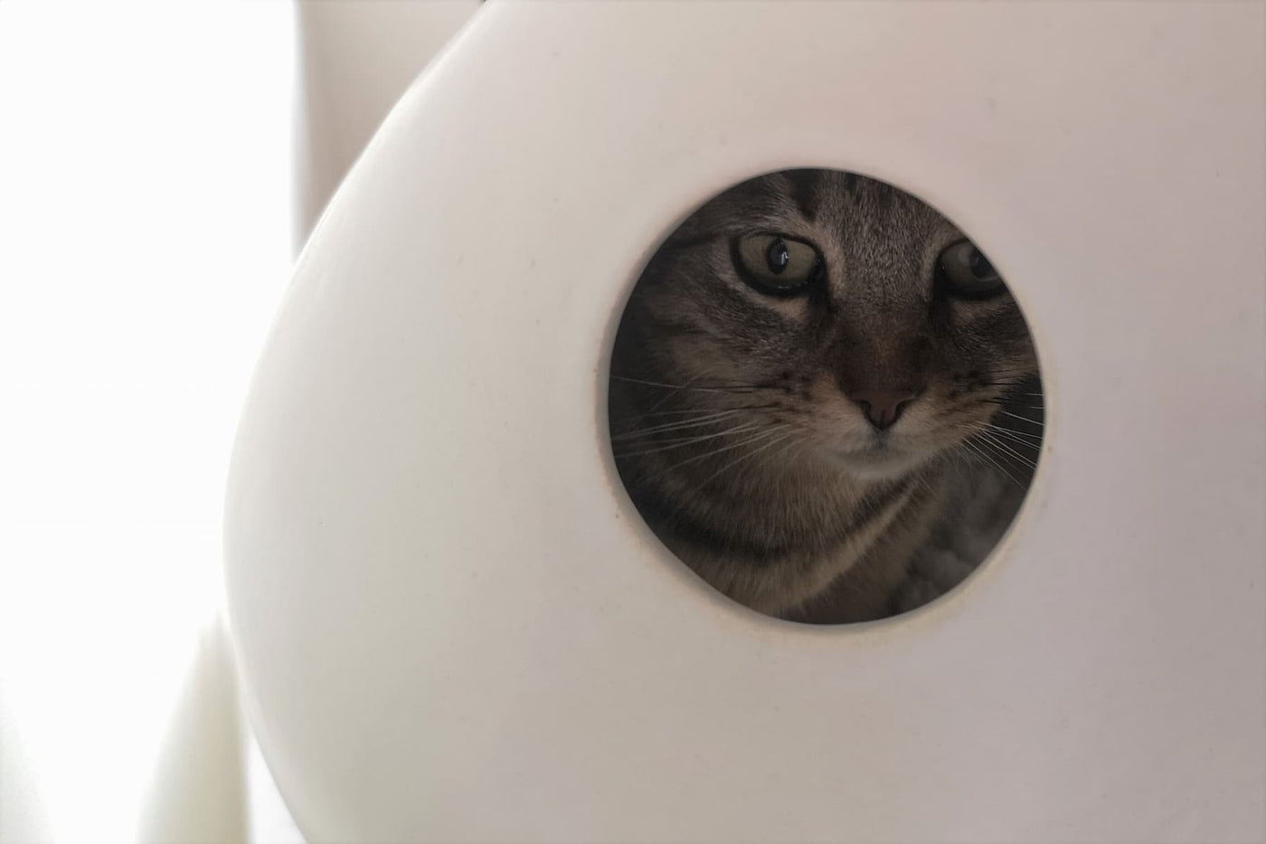 Cascabel Ceramic Cat Cave, view 5