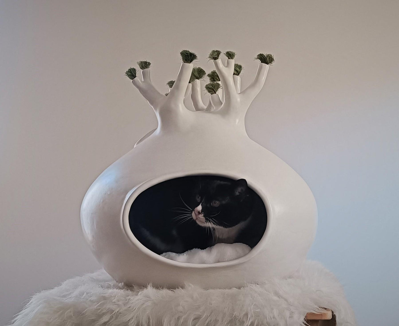 Baobab Ceramic Cat Cave, view 3