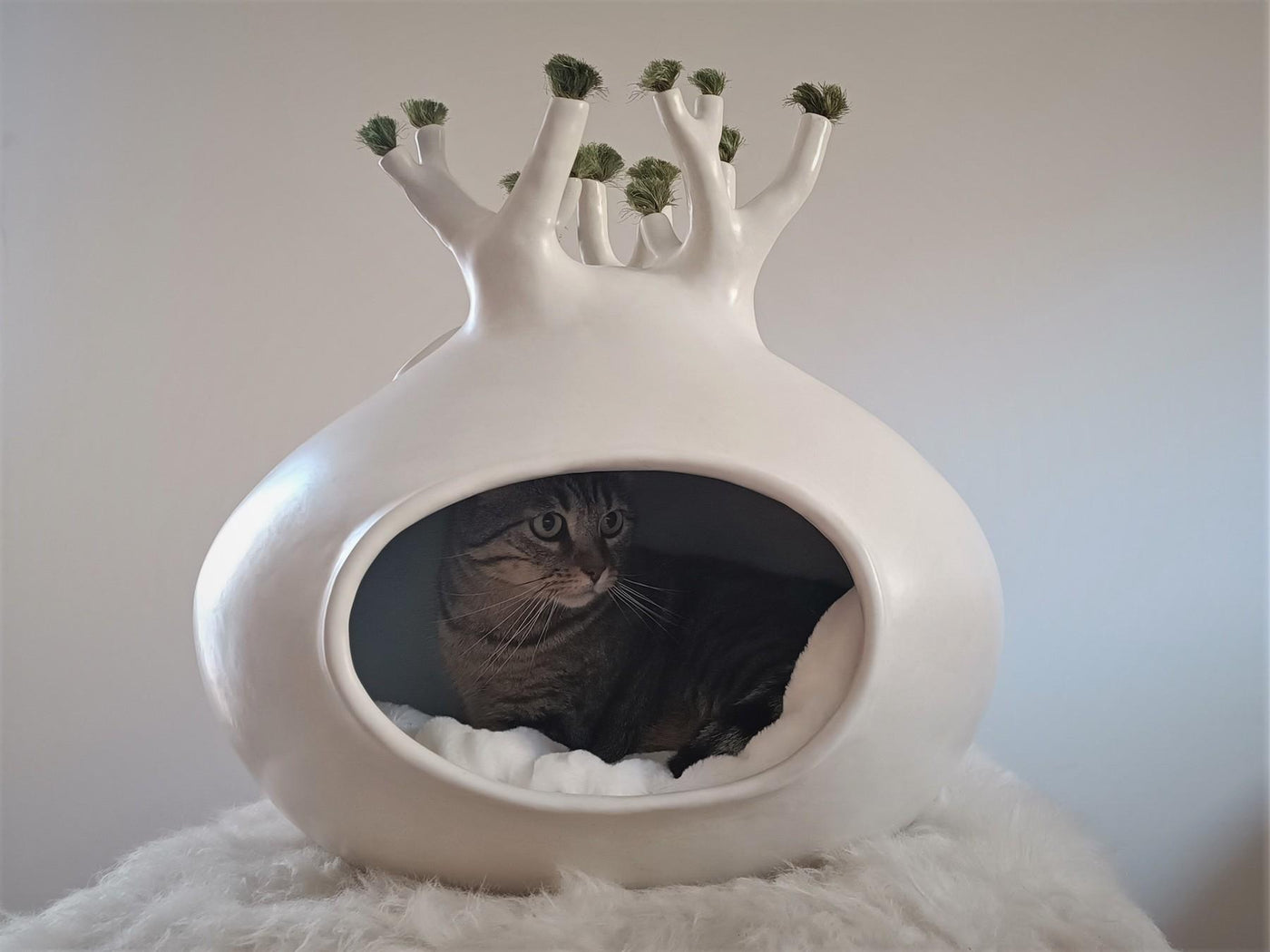 Baobab Ceramic Cat Cave by Sara Monge