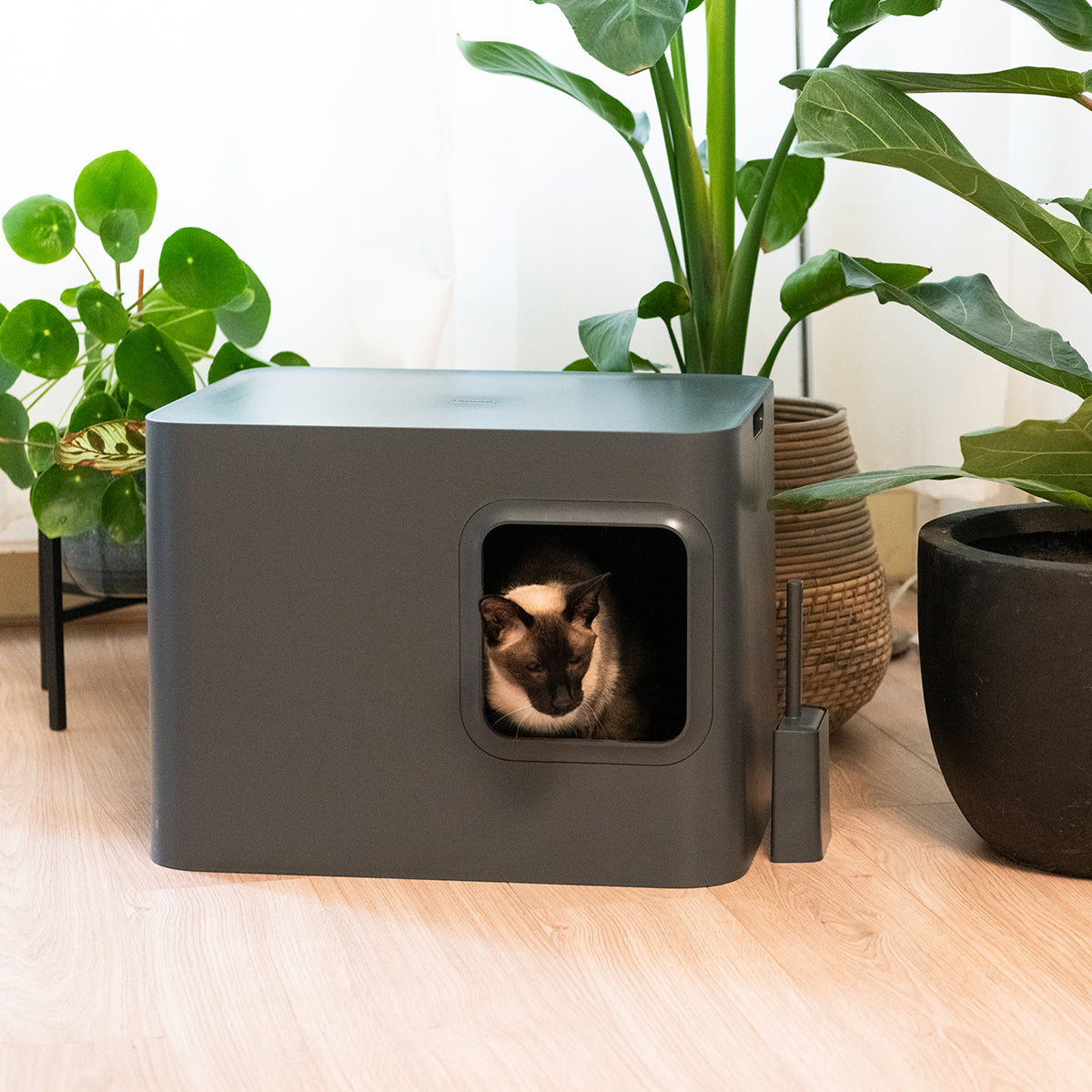 Dome Enclosed Litter Box