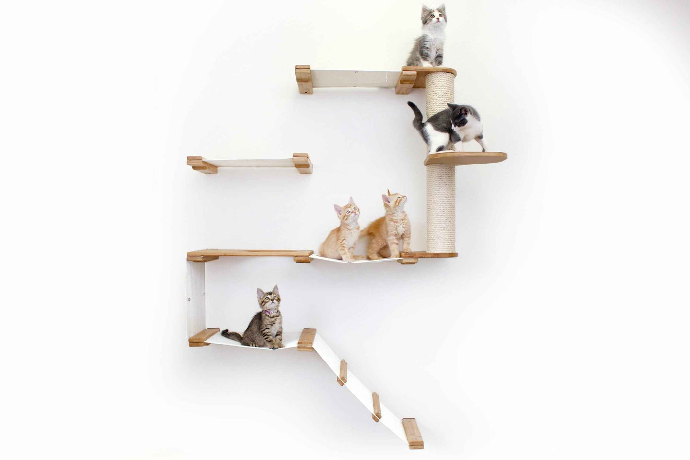 The Deluxe Cat Fort
