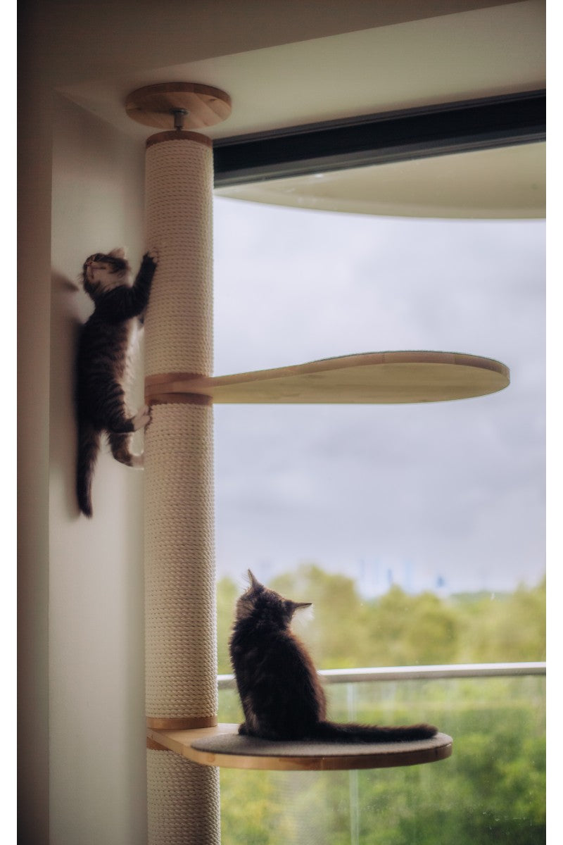 Floor-to-Ceiling Cat Tree, view 9