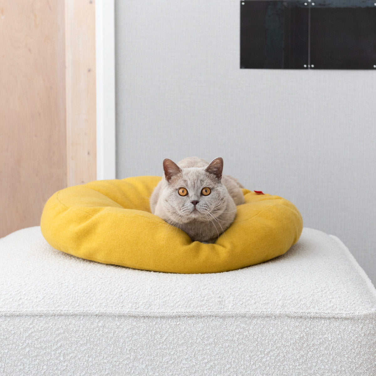 Donut Cat Bed