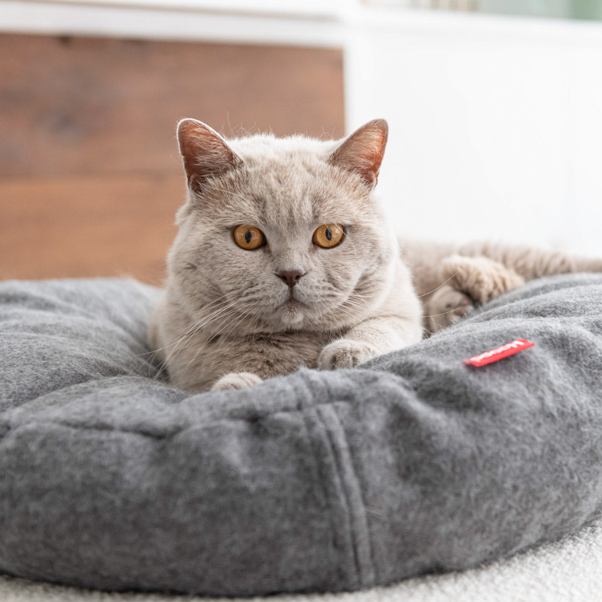 Donut Cat Bed