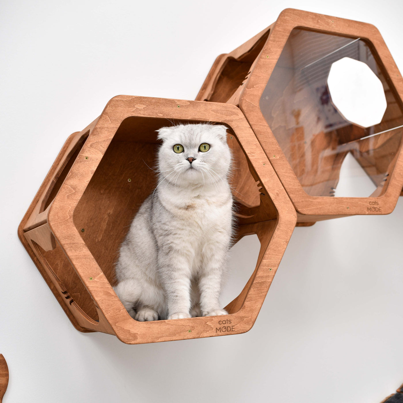 Wall Hexagon Cat House Set 2 Felt + Cat Bridge S