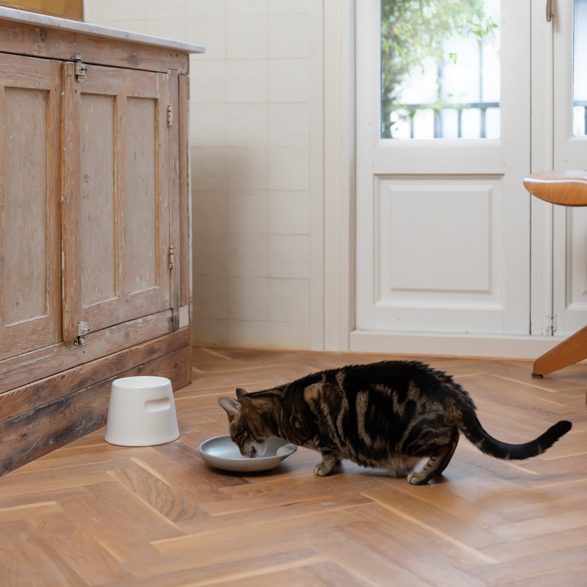 Plate Food Bowl