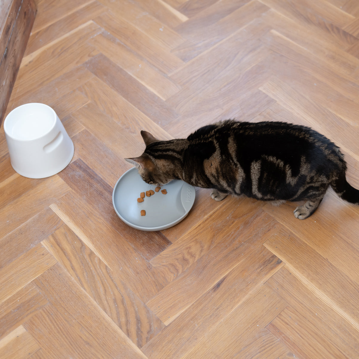 Plate Food Bowl