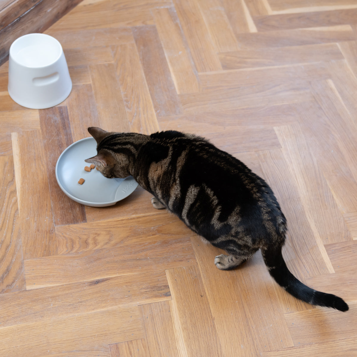Plate Food Bowl