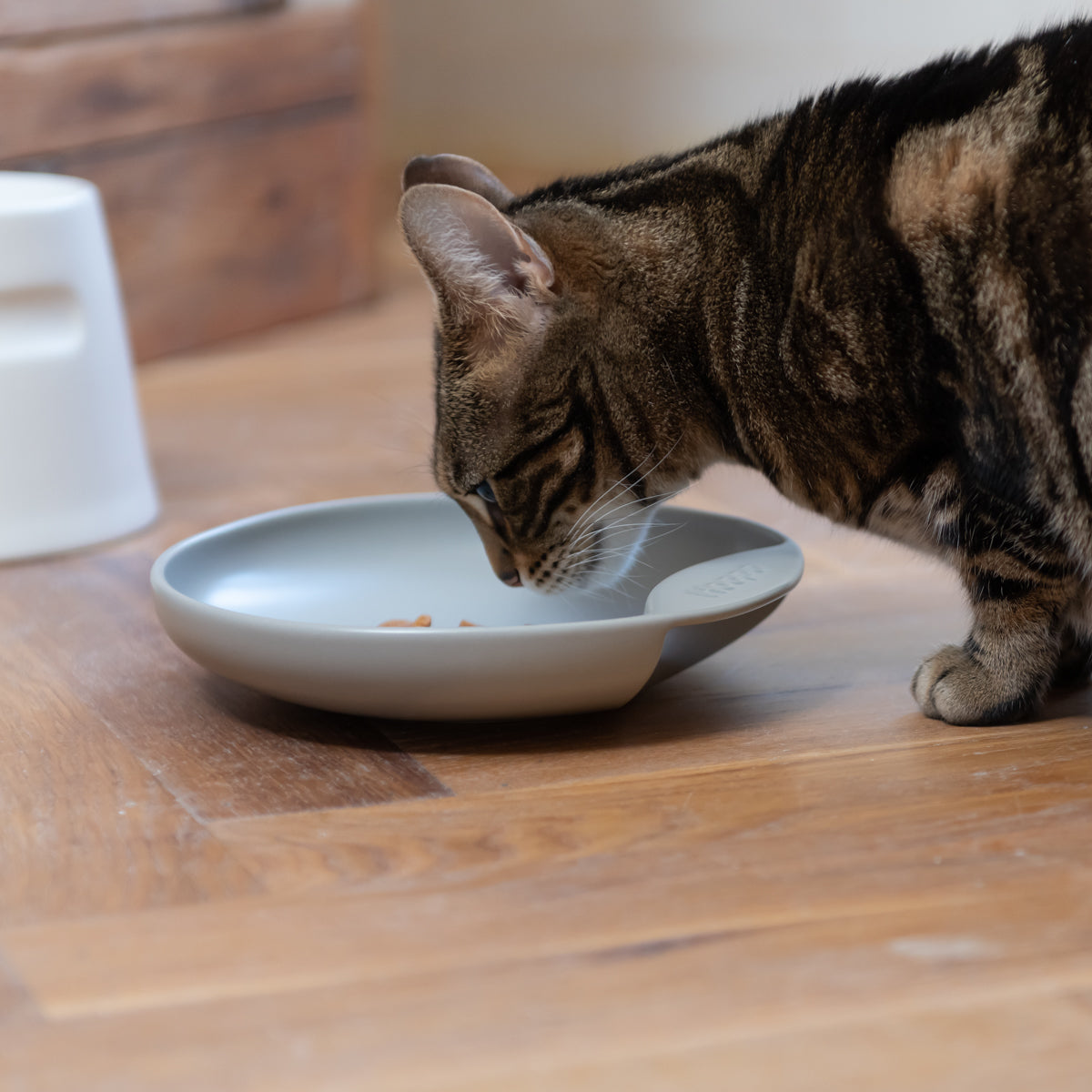 Plate Food Bowl