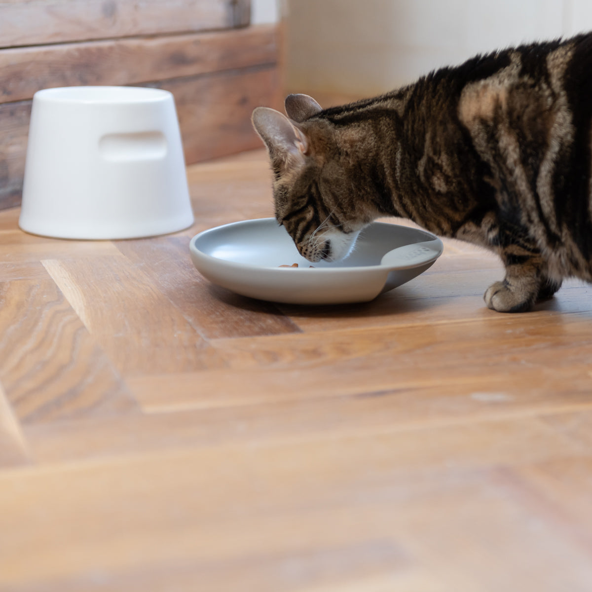Plate Food Bowl