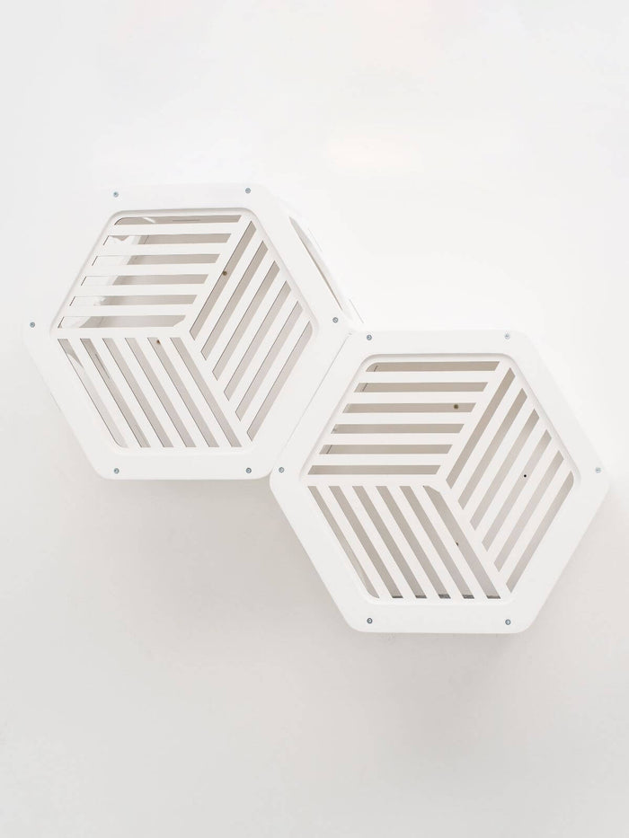 Wooden and Acrylic Frame for Hexagon