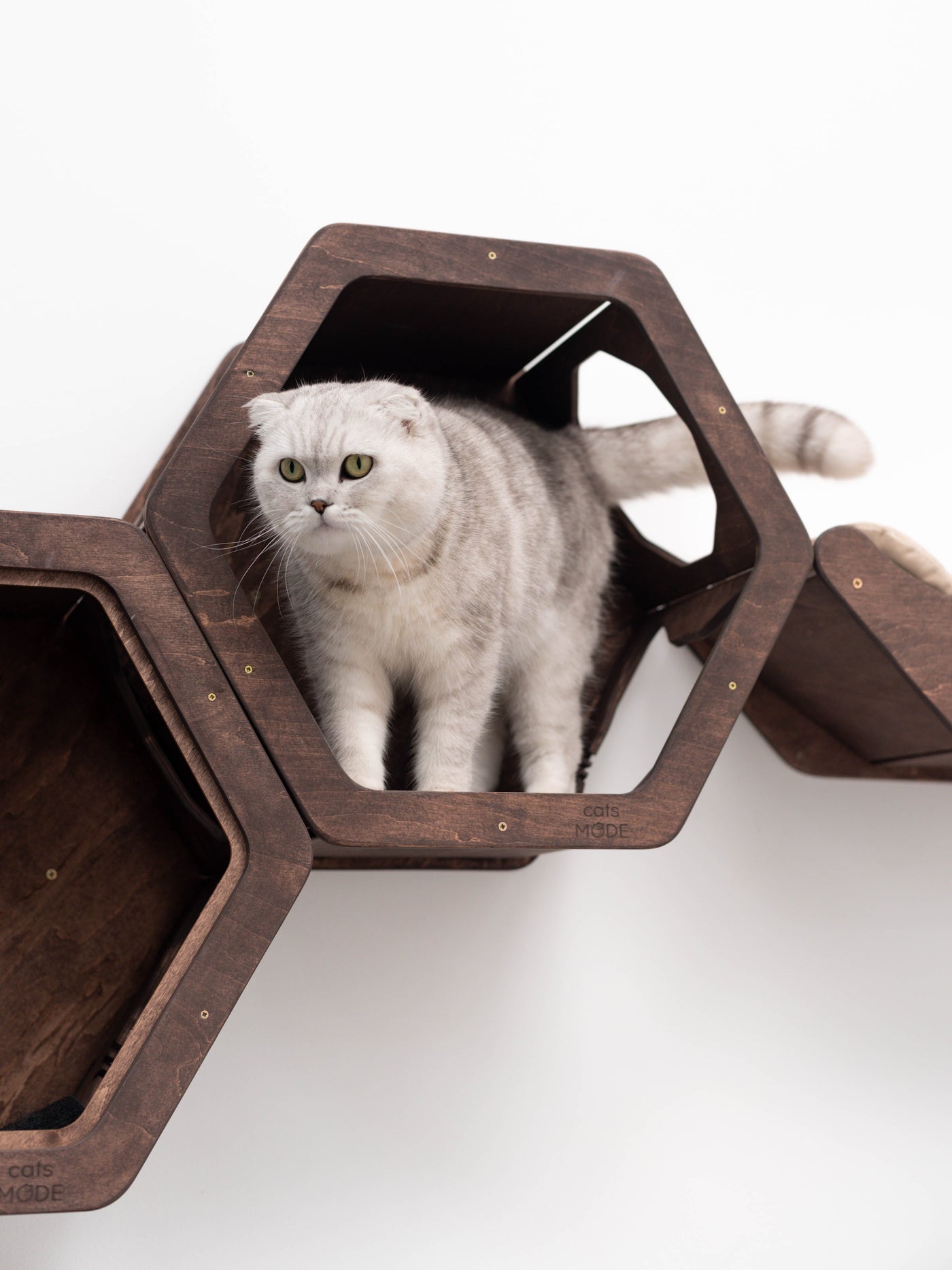 Wall Hexagon Cat House Set 2 Felt + Basket for Cats