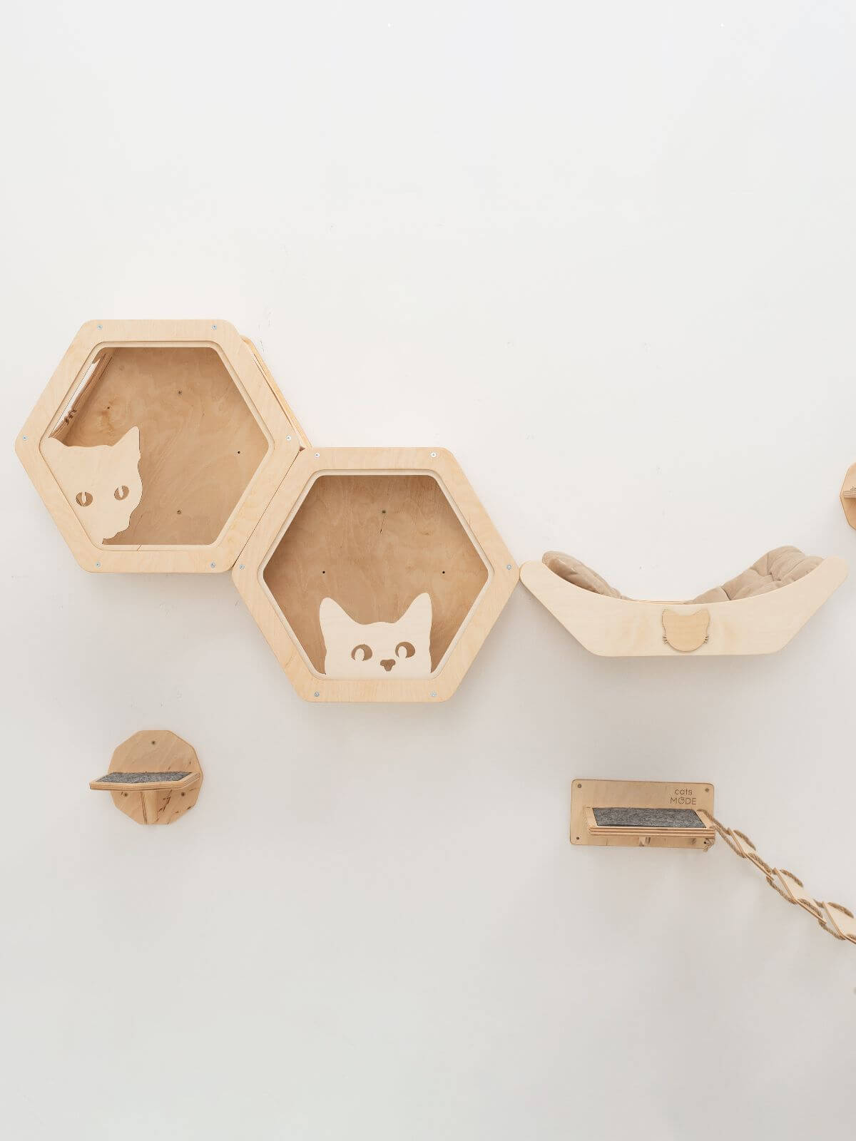 Wooden and Acrylic Frame for Hexagon