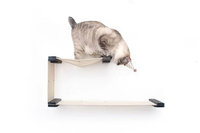 Wall mounted two-level cat hammock in canvas with a lower and upper bed and a fabric divider