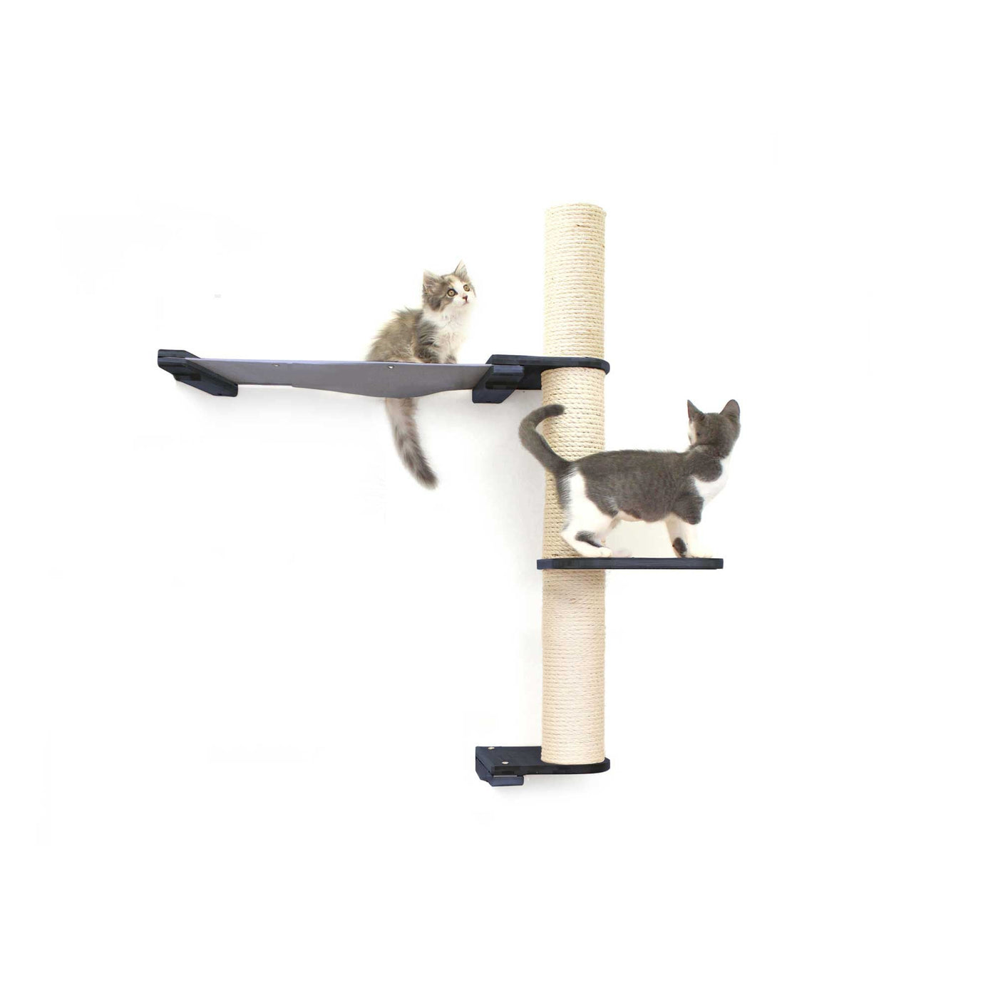Tall wall mounted cat scratcher tree with a sisal pole installed high near the ceiling
