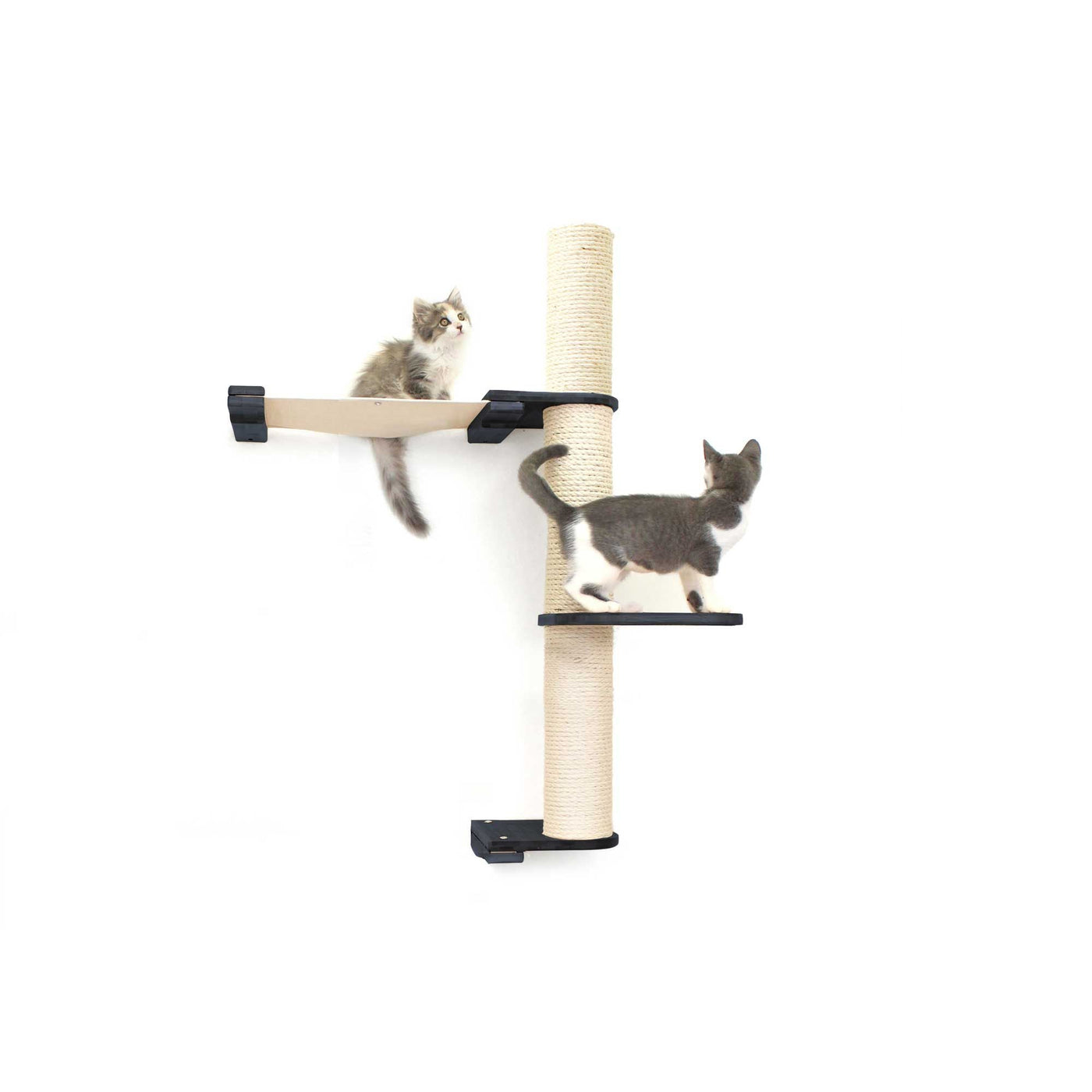 Tall wall mounted cat scratcher tree with a sisal pole installed high near the ceiling