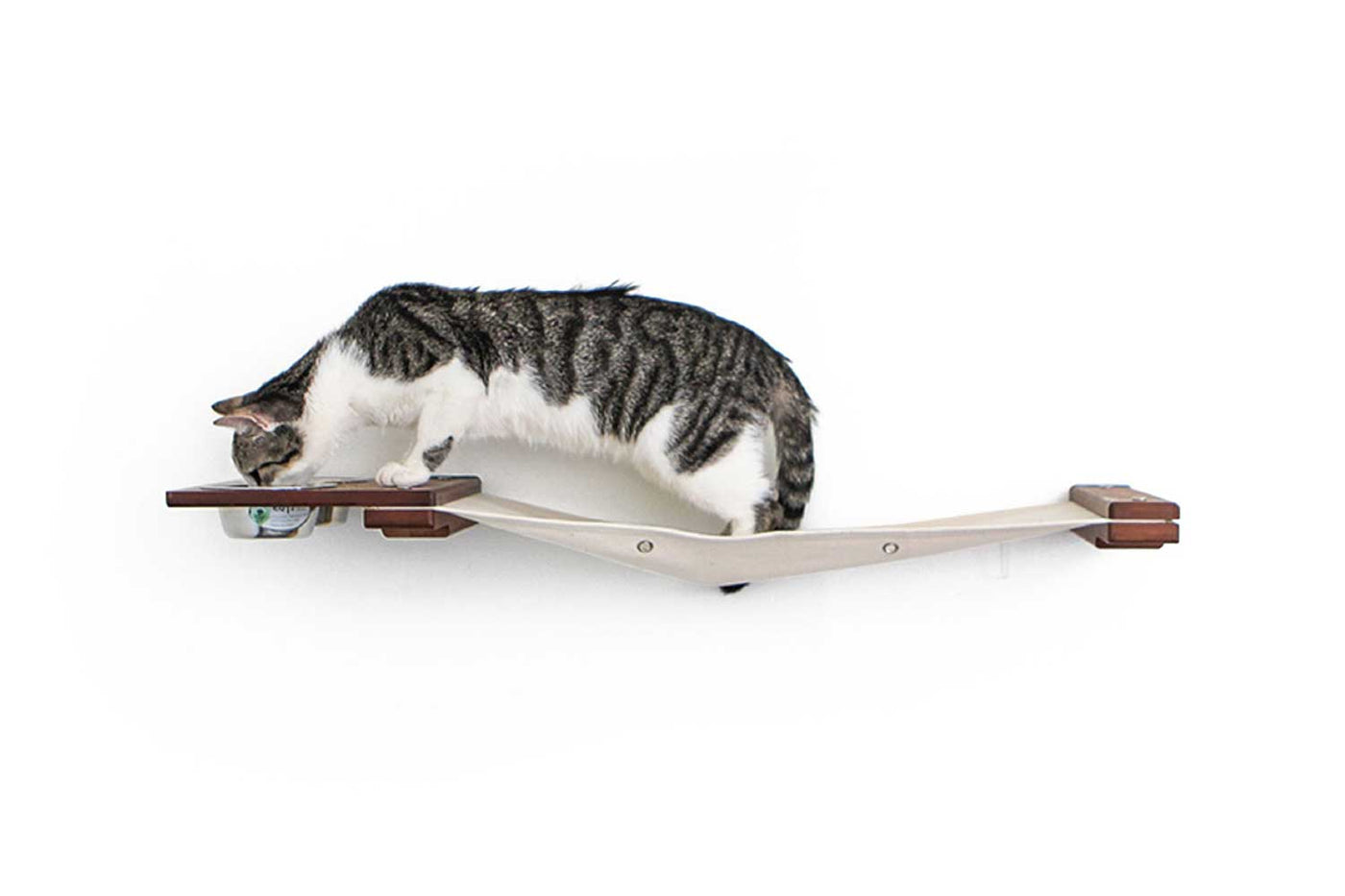Wall mounted raised cat feeder with food dishes and an attached canvas lounge