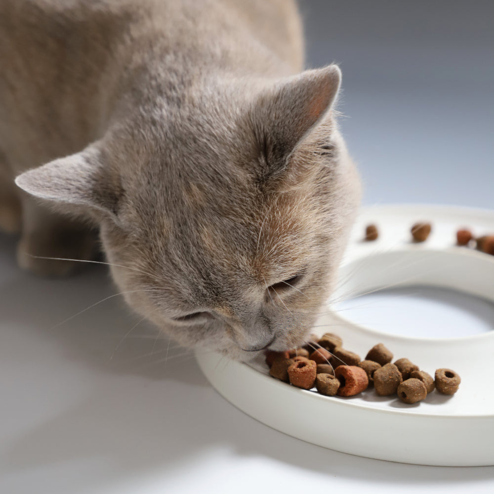 Ring Slow Feeder