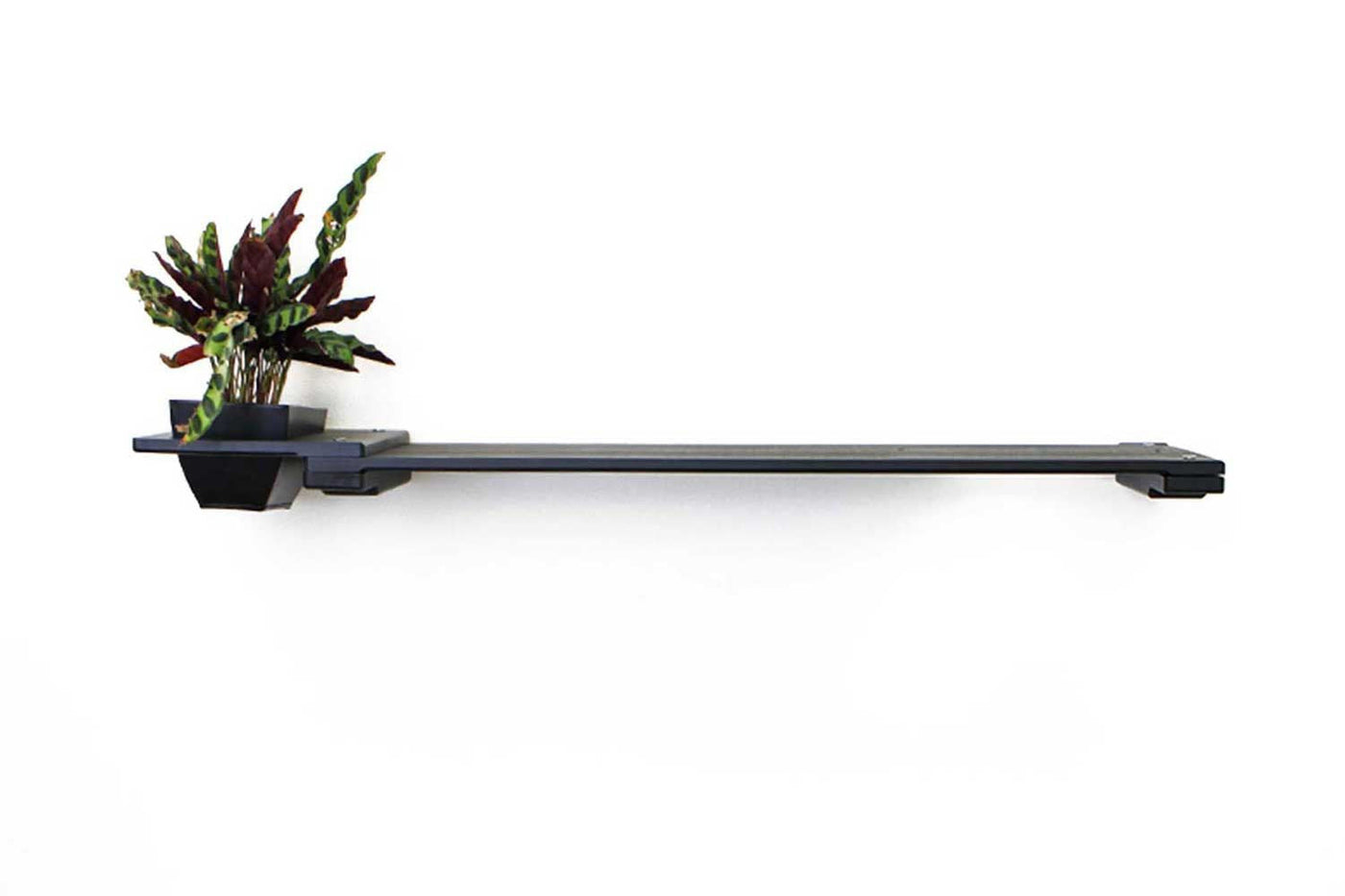 Wall mounted bamboo cat perch shelf with planter pots of greenery on either side