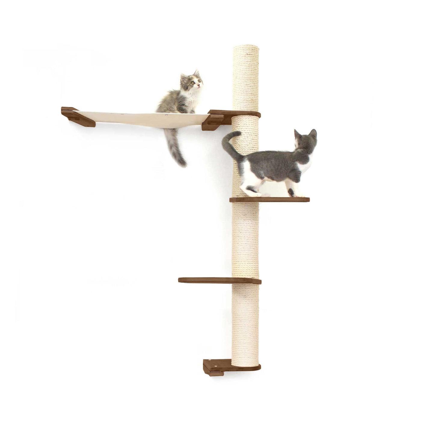 Tall wall mounted cat scratcher tree with a sisal pole installed high near the ceiling