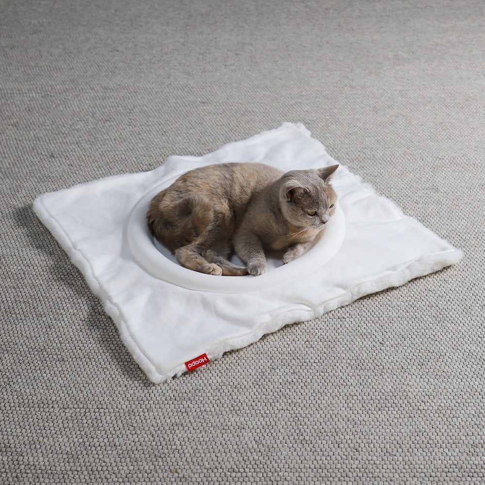 Flip Cat Bed