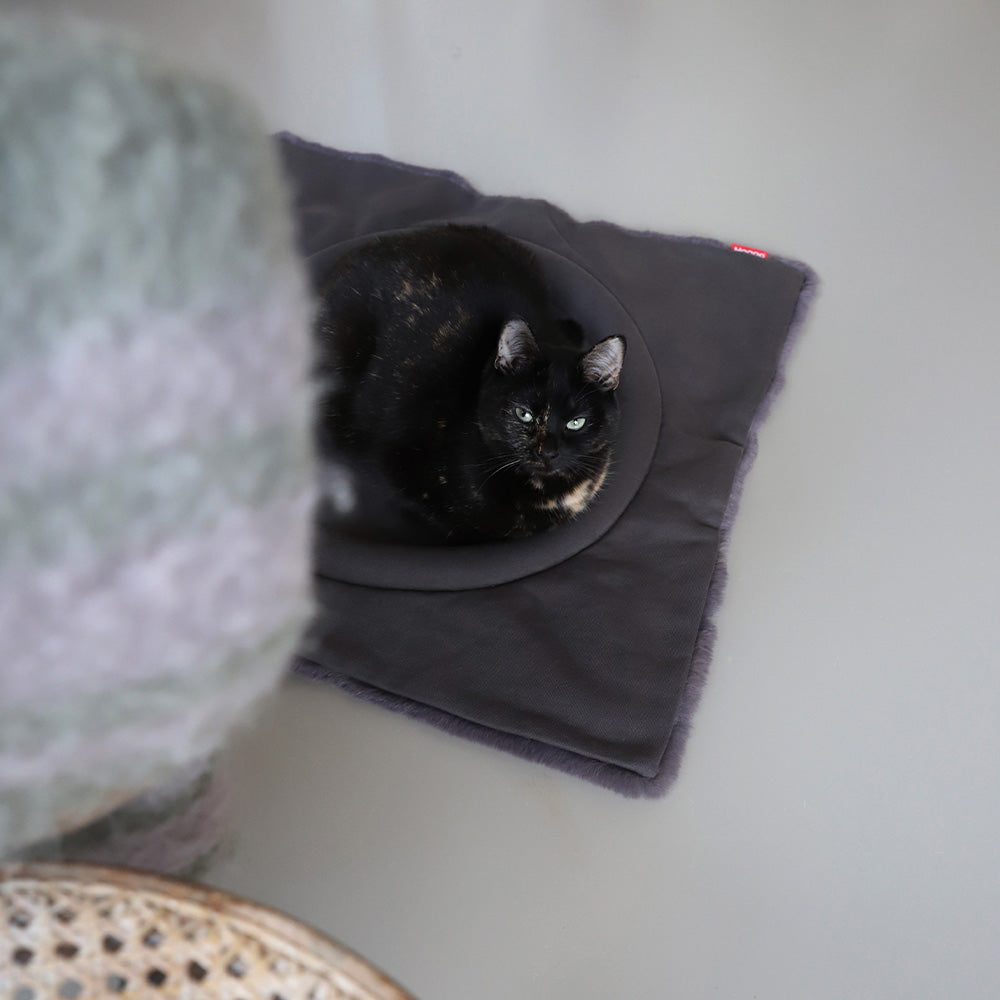 Flip Cat Bed