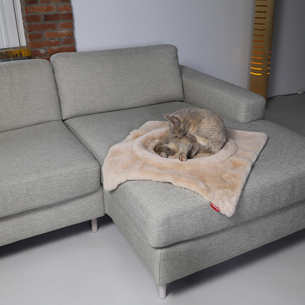 Flip Cat Bed