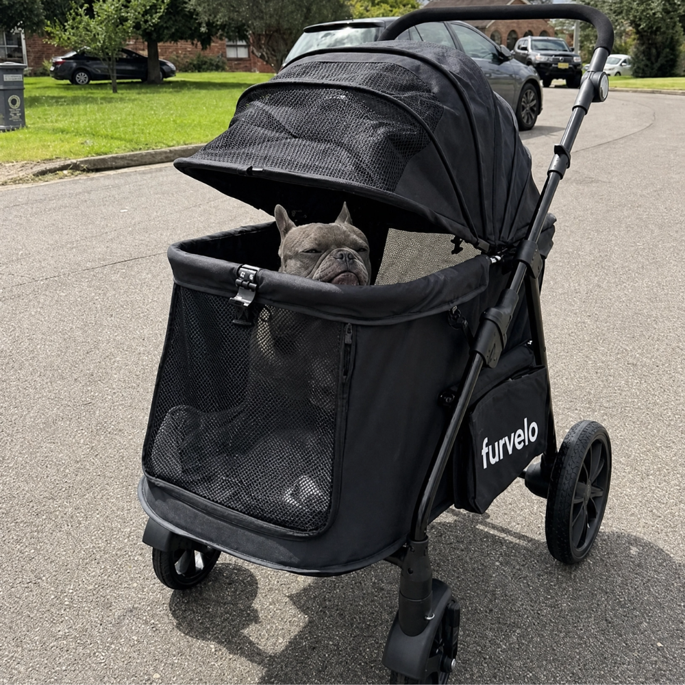 Furvelo Wagon cat stroller in black with large wheels and mesh windows