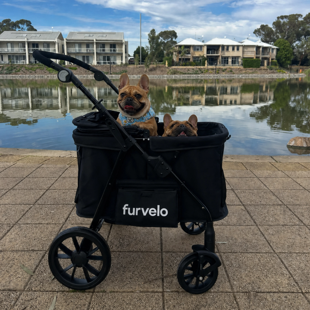 Furvelo Wagon cat stroller in black with large wheels and mesh windows