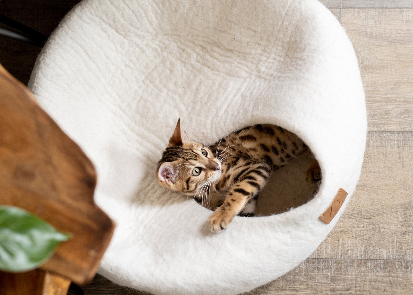 Felted Wool Cat Cave, Round, a felted wool cat cave bed by Fuzzy Cove