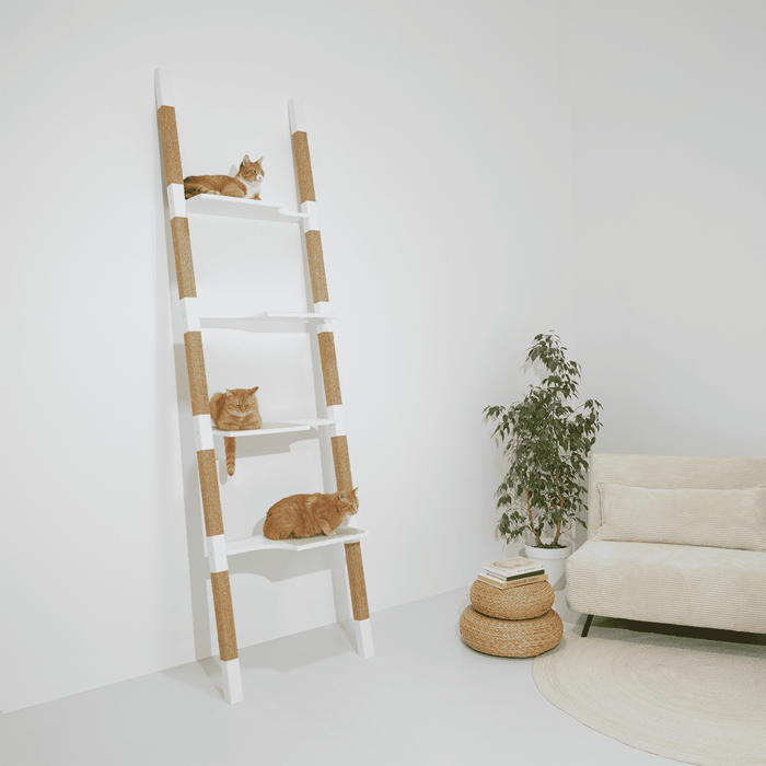 H4 Cat Scratching Tree by H-Tree Studio