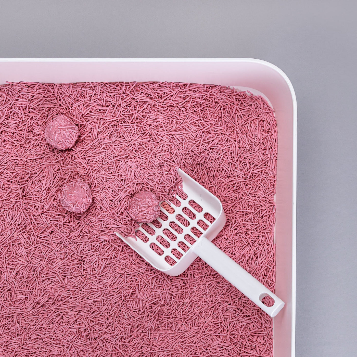 Scoop and Holder