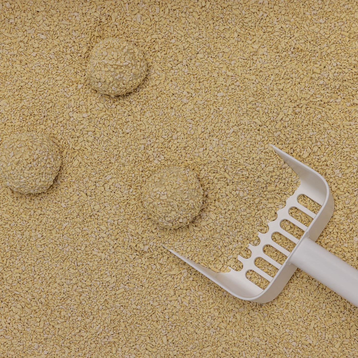 Tofu Fine Cat Litter