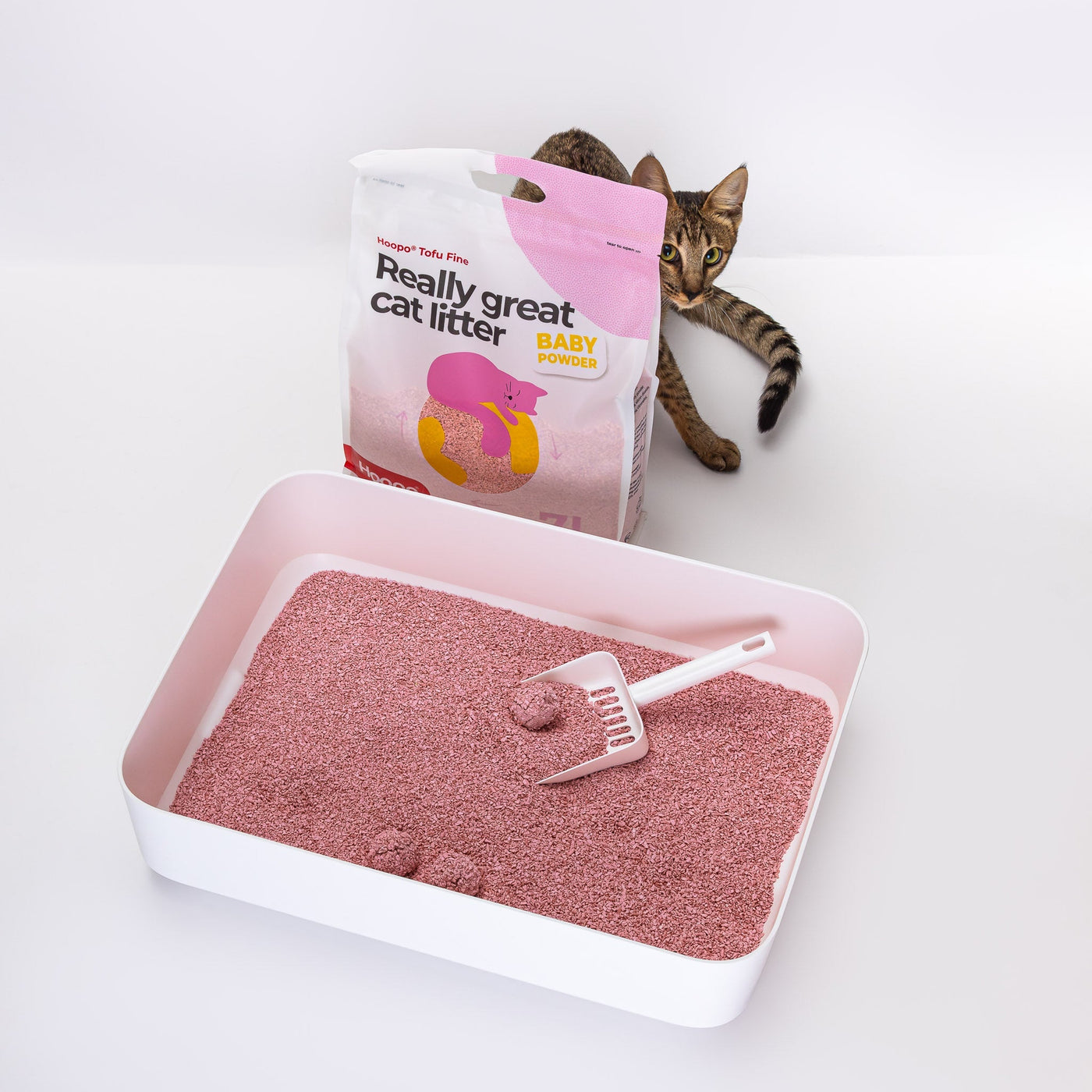 Scoop and Holder