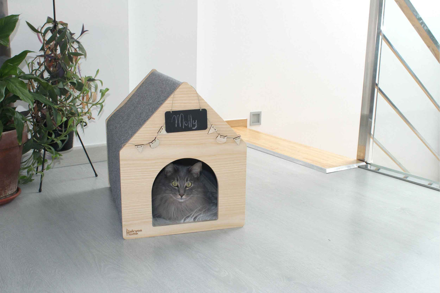 Apawtment Cat House