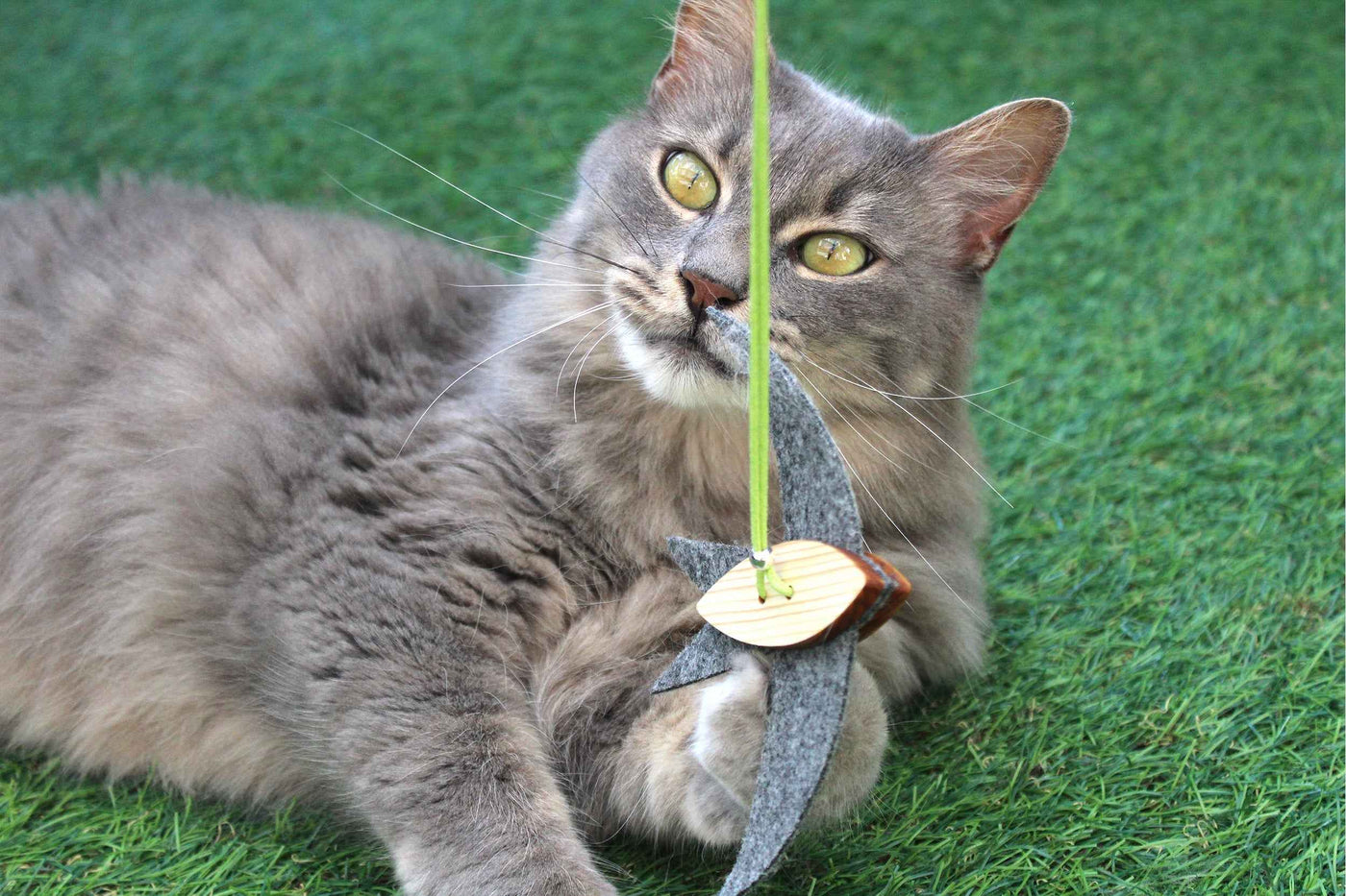 Hocus Cat Play Wand
