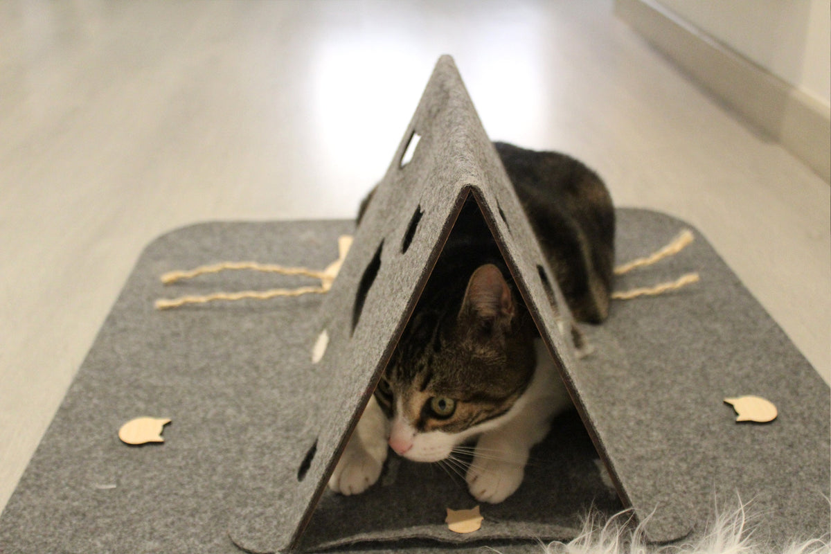 Hidey Tunnel and Playtime Playmat Set by Halcyon Home