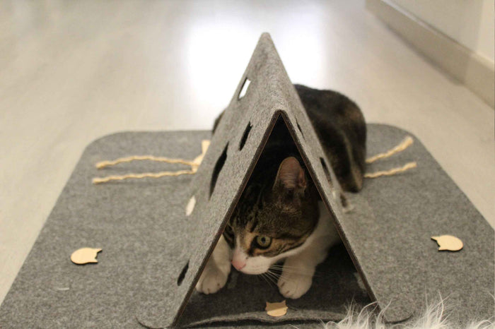 Playtime Cat Playmat