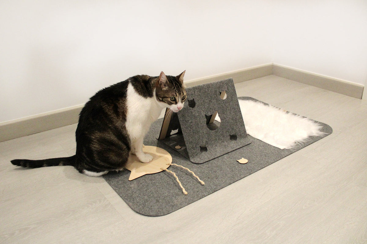 Hidey Tunnel and Playtime Playmat Set by Halcyon Home