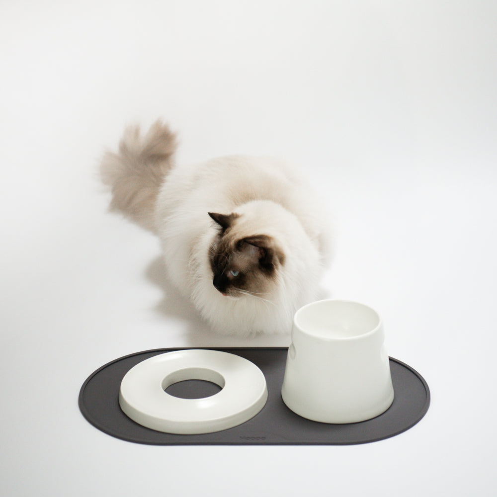 Base Feeder Placemat