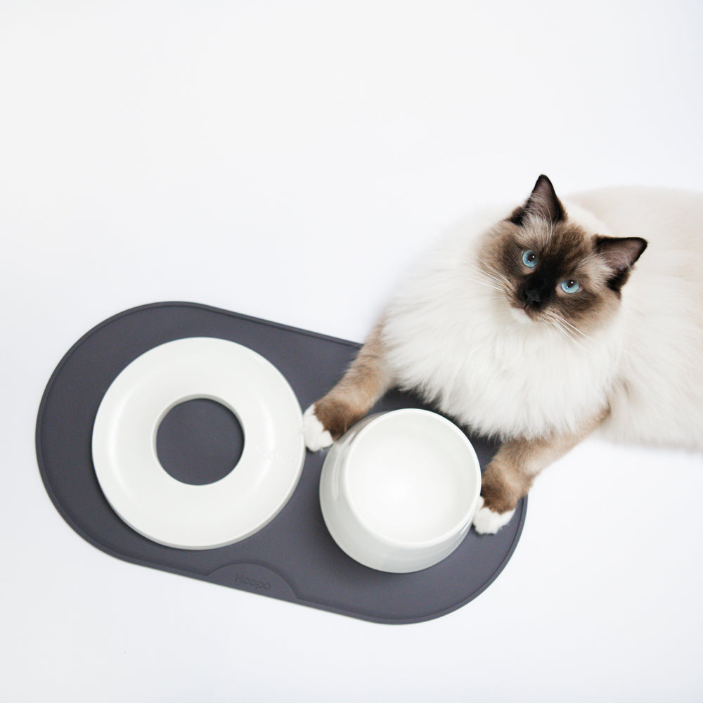 Base Feeder Placemat