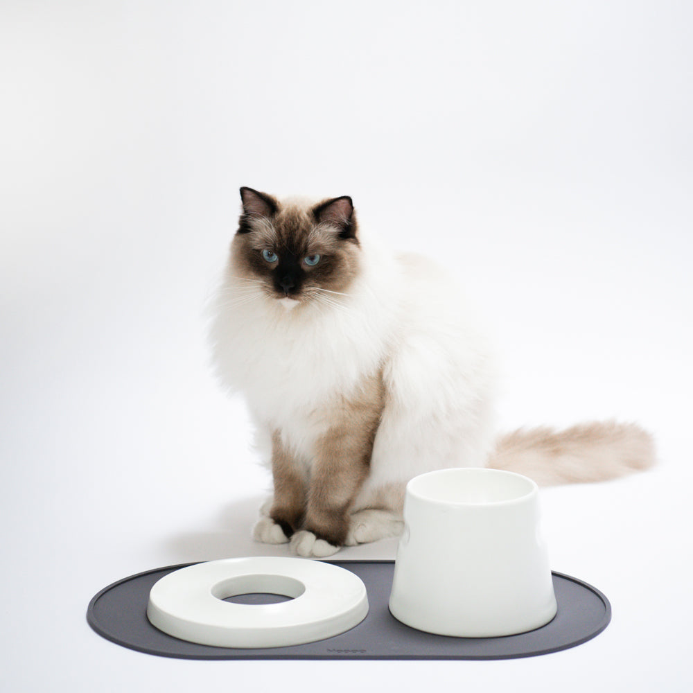 Base Feeder Placemat